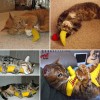 Yeowww Catnip Banana